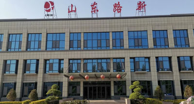중국 Shandong Luxin New Material Co., Ltd.