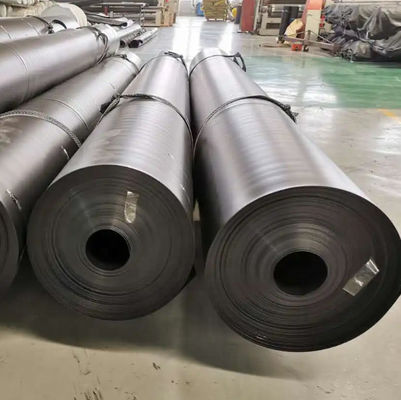 대형 플라스틱 생선 연못 라인 HDPE 지오 엠브라인 쓰레기 매립지 검은색 또는 요청