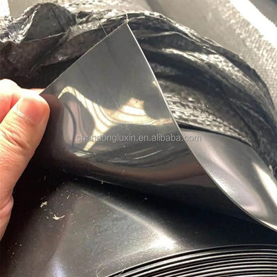 싱가포르 생선 새우 재배 방수 HDPE 지오 엠브라인 0.3mm 현장 검사