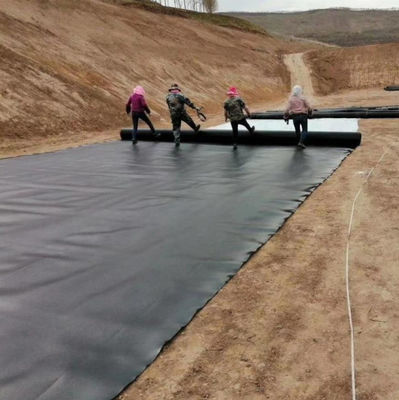 ASTM GRI-GM13 표준 1mm 2mm HDPE 지질막 생선 연못 라인어