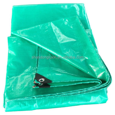 HDPE 직물 맞춤 인쇄 텐포일 자동차 커버 텐포일