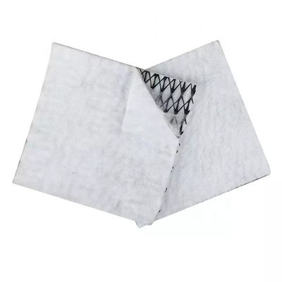 HDPE Mesh 3D 복합 배수 복합 지오 네트워크 지속 가능한 배수 솔루션을위한 지오넷