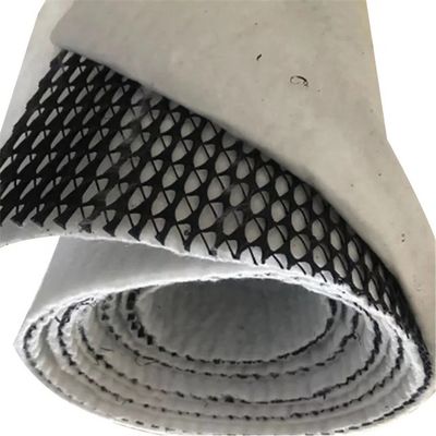 HDPE Mesh 3D 복합 배수 복합 지오 네트워크 지오넷 검은 흰색