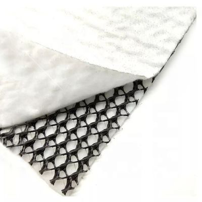 HDPE Mesh 3D 복합 배수 복합 지오 네트워크 지오넷 검은 흰색