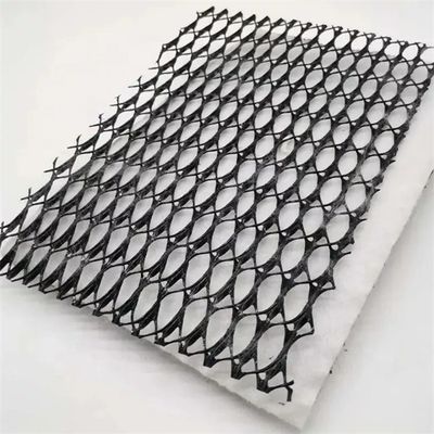 HDPE Mesh 3D 복합 배수 복합 지오 네트워크 지오넷 검은 흰색