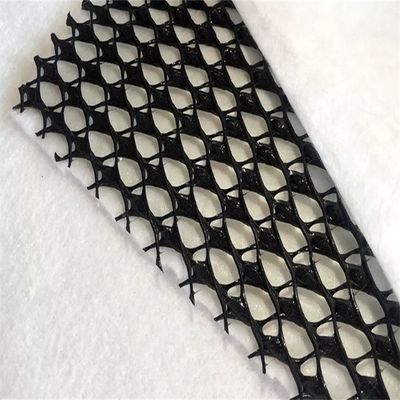 HDPE Mesh 3D 복합 배수 복합 지오 네트워크 지오넷 검은 흰색