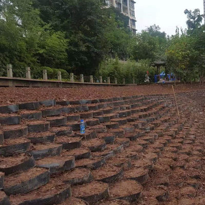 구조화 된 부드러운 HDPE 지오 셀 벽 가로 범주 및 산업 디자인 유지