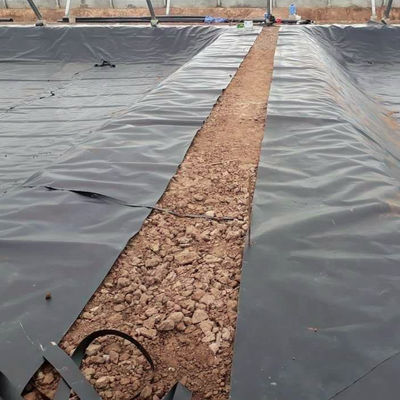 0.2mm-3mm 두께 맞춤형 수영장 보호용 항 UV HDPE 수영장 라인