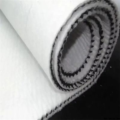 Hdpe 플라스틱 3d 삼면성 복합 배수망 사용자 정의 길이의 네트워크 지오넷