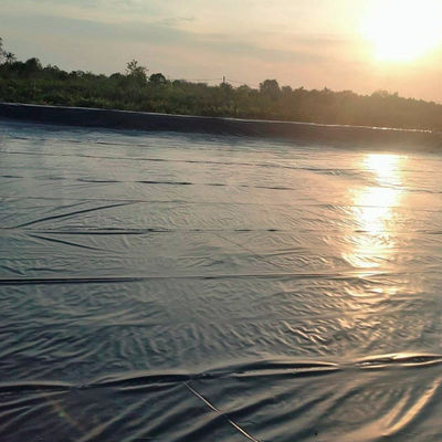 1mm 0.75mm Geomembrane Anti-UV Hdpe 플라스틱 농장 탱크 용기 50m-100m / 롤