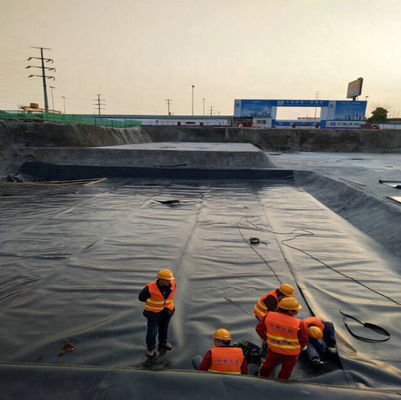 ASTM GM13 표준 HDPE 지질막 라인어 0.3mm 0.5mm 0.75mm 1mm 국가 시장