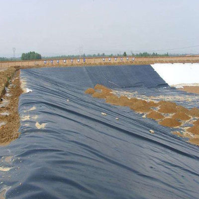 ASTM GM13 표준 HDPE 지질막 라인어 0.3mm 0.5mm 0.75mm 1mm 국가 시장