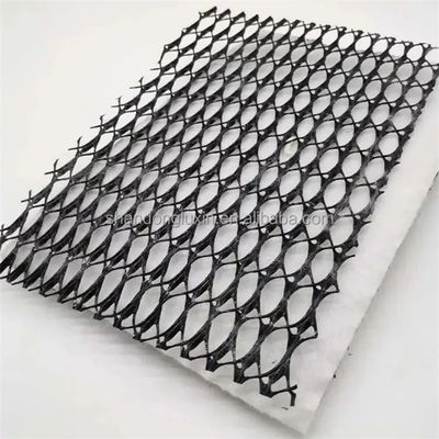 밀도 폴리에틸렌 플라스틱 지오텍스틸 및 지오넷 3D 복합 배수망 이상