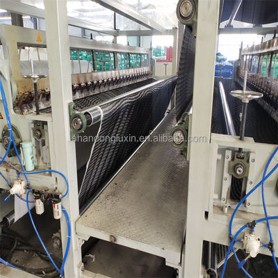 50m/100m 길이 HDPE  Mesh 3D 복합 배수 복합 지오 네트워크 흑백