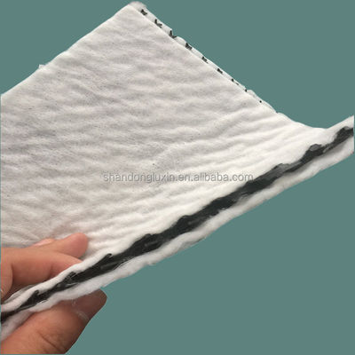 50m/100m 길이 HDPE  Mesh 3D 복합 배수 복합 지오 네트워크 흑백