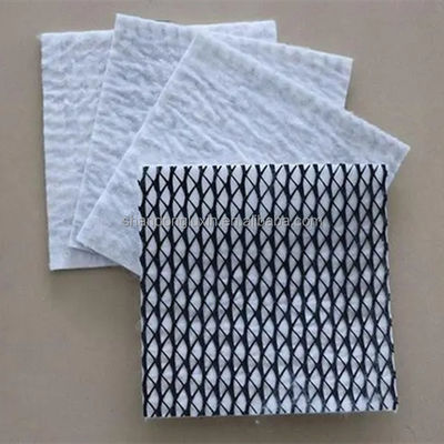 50m/100m 길이 HDPE  Mesh 3D 복합 배수 복합 지오 네트워크 흑백