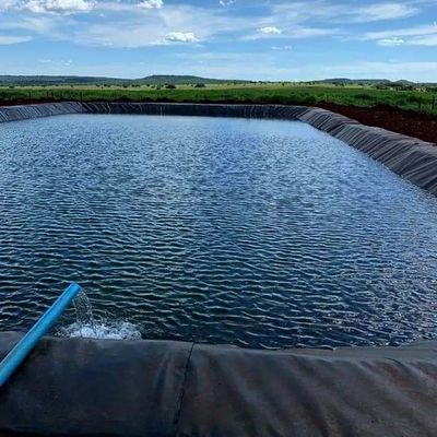 1.0mm HDPE 지오 멘브란 물고기 연못 너비 1-6m 화학 저항성 검은 지오 멘브란