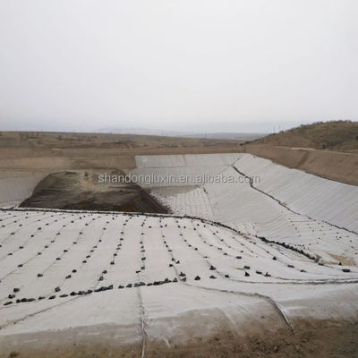 50m/100m/ 쓰레기 매립 도로 바닥에 대한 복합 배수망 CE/ISO9001/ISO14001 인증