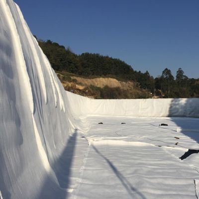 50m/100m/ 쓰레기 매립 도로 바닥에 대한 복합 배수망 CE/ISO9001/ISO14001 인증