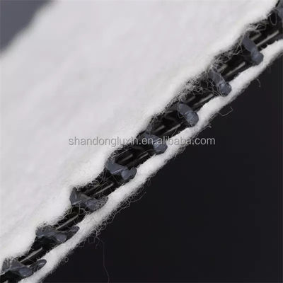 검은색 흰색 3차원 복합 배수망 지오넷 Hdpe 5mm 배수 매트 직물