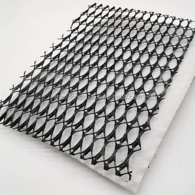 HDPE 3D 소금 장벽 배수 지오네트 쓰레기 매립 도로 정원 배수