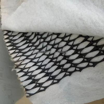 HDPE 3D 소금 장벽 배수 지오네트 쓰레기 매립 도로 정원 배수