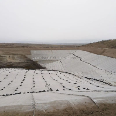 HDPE 3D 소금 장벽 배수 지오네트 쓰레기 매립 도로 정원 배수