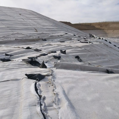 HDPE 3D 소금 장벽 배수 지오네트 쓰레기 매립 도로 정원 배수