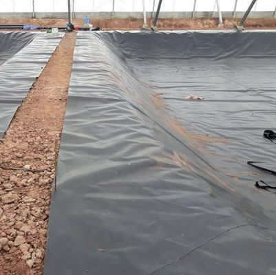 생선 농장 연못 라인어 HDPE 지오 엠브라인 검은색 흰색 파란색 또는 녹색 길이 50-200m