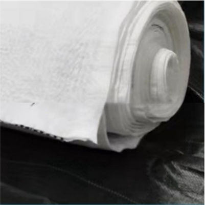 하얀색 5mm HDPE 복합 배수망