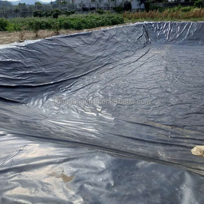 수산물 농산물용 두 배 매끄러운 HDPE 방수 플라스틱 지오 엠브라인 시트