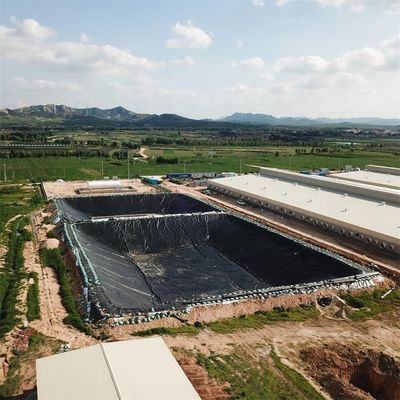 HDPE 방수물질 생선 농장 지질막 검은색 파란색 녹색 색상 식사용