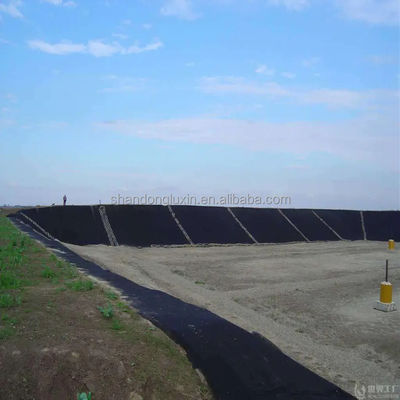 생선 연못용 두 배 매끄러운 HDPE 지오 엠브라인 1.25mm/2mm/4mm 두께 산둥 수출국