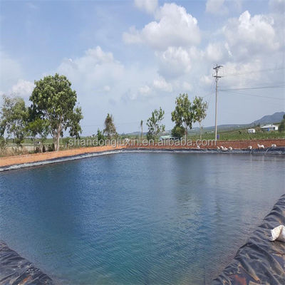 말레이시아의 저수지 프로젝트용 LLDPE 연못 라인 셰이트 1m-8m 너비 HDPE 재료