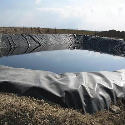 500 미크론 덤 라인링 가격 HDPE 지오 멘브라인 수질성 어류 재배용 연못 라인