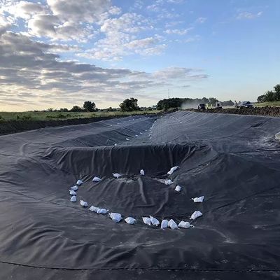 500 미크론 덤 라인링 가격 HDPE 지오 멘브라인 수질성 어류 재배용 연못 라인