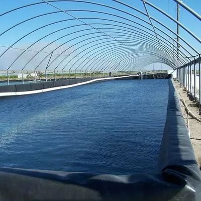 500 미크론 덤 라인링 가격 HDPE 지오 멘브라인 수질성 어류 재배용 연못 라인