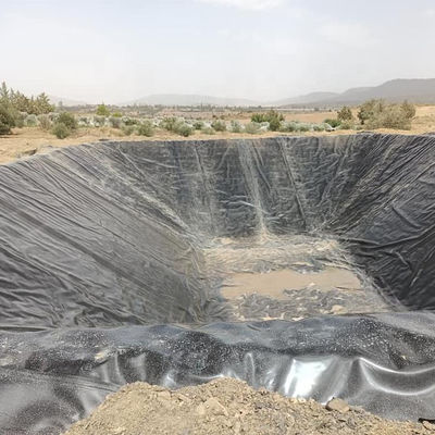 HDPE 지오막 지오막 펌프 물고기 농장 탱크 연못 라인어 0.2mm-3mm 두께