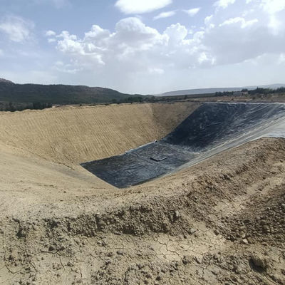 HDPE 지오막 지오막 펌프 물고기 농장 탱크 연못 라인어 0.2mm-3mm 두께