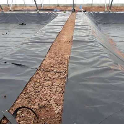 검은색 1.5mm HDPE 지오 엠브레인 물 덩어리 라인어