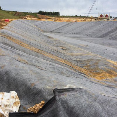 0.5mm HDPE 지질막 생선 농장 연못 라인어 회로 생선 농장 플라스틱 물 탱크