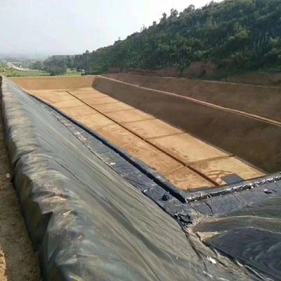 그래픽 디자인 지오 엠브라나 HDPE 라인어 1mm Hdpe 지오 엠브라나 반환 및 교체