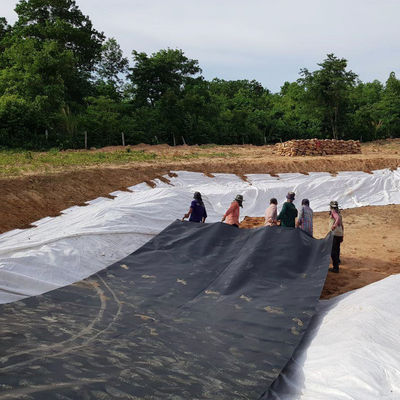블랙 화이트 그린 블루 HDPE 지오 엠브란 시트