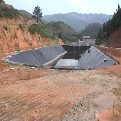 블랙 화이트 그린 블루 HDPE 지오 엠브란 시트