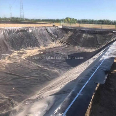 블랙 화이트 그린 블루 HDPE 지오 엠브란 시트