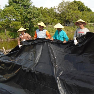 전체 솔루션 프로젝트 0.5mm HDPE 매끄러운 텍스처 블랙 지오 엠브란 생선 농장 연못 라인