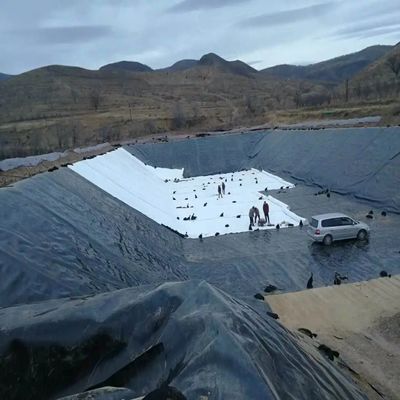 전체 솔루션 프로젝트 0.5mm HDPE 매끄러운 텍스처 블랙 지오 엠브란 생선 농장 연못 라인