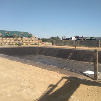 100% 처녀 재료로 만든 호수 라인어 생선 농장용 부드러운 HDPE 지오 엠브라인