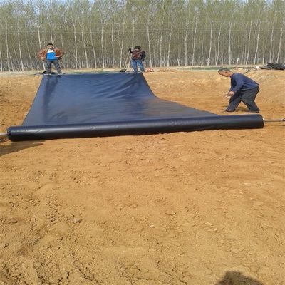 0.5mm 1mm 1.5mm 2mm HDPE 지오 멘브라인 산업 디자인 스타일의 물고기 연못 라인러