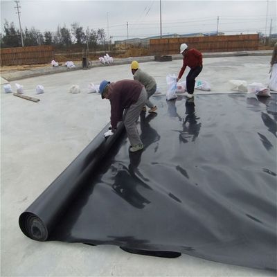 0.5mm 1mm 1.5mm 2mm HDPE 지오 멘브라인 산업 디자인 스타일의 물고기 연못 라인러